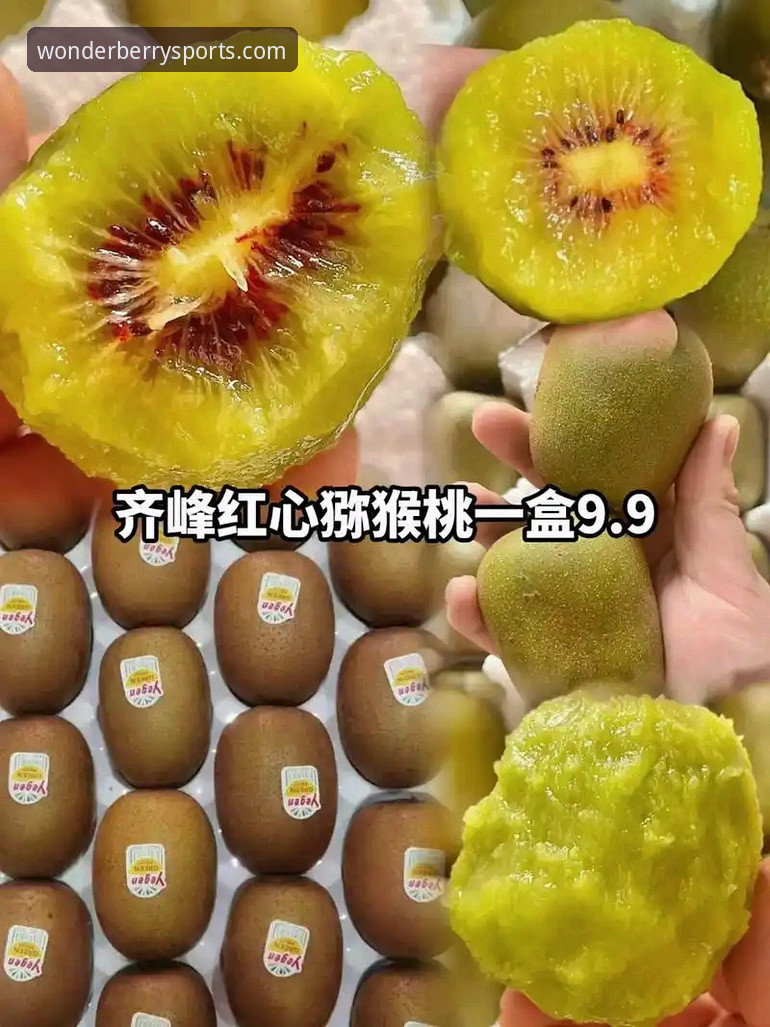 奇异果体育直播推荐功能再升级,2024最新版本实测体验来了