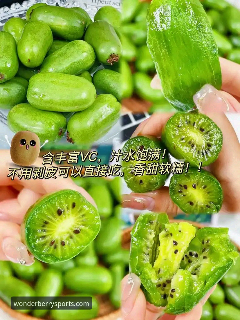 奇异果体育官网地址 vs 第三方下载站：哪个更靠谱？老用户实测对比